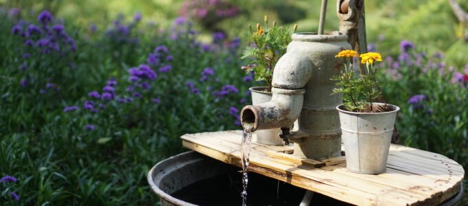 gray deep well pump surrounded by flowers during daytime
